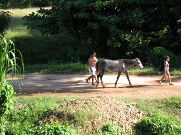 Valle de los Ingenios