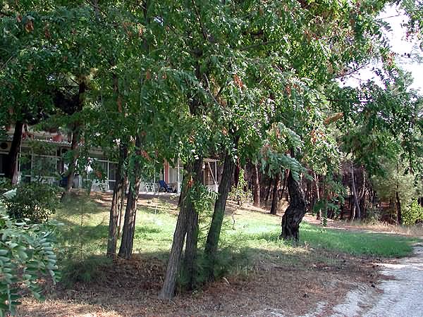 Tusan Hotel, Canakkale, Turkey