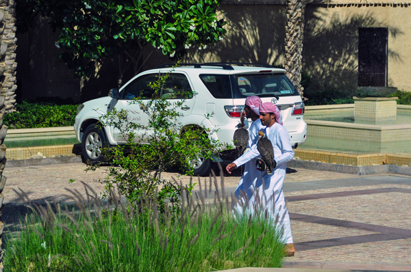 Men & their falcons, Abu Dhabi, photo by Sue Alstedt