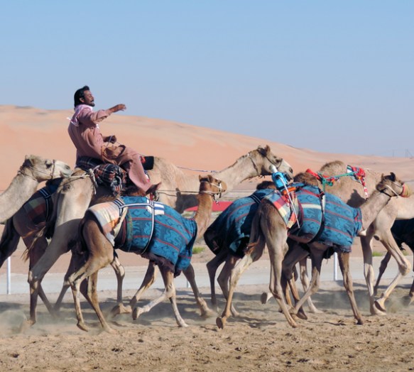 Arabian Desert, photo by Sallie Volotzky
