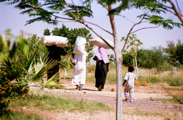 banks of the Nile, Egypt