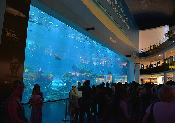 Dubai Aquarium, Dubai Mall