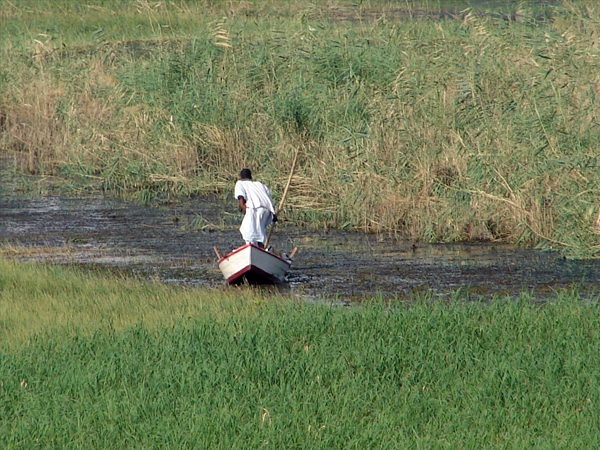on the Nile, photo by Jason Hedrick
