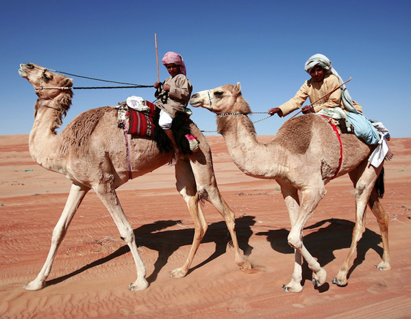 camel races, Wahiba Sands, photo courtesy of Elite Tourism, Oman