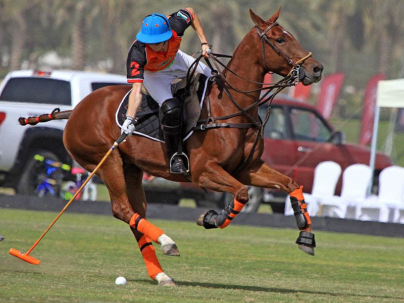 Dubai Polo & Equestrian Club